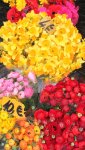 2018-03-15 09.32.17.jpg