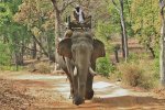 INDIA 2016 1952A.jpg INDIA 2016 1952A.jpg