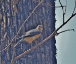 INDIA 2016 1157.JPG