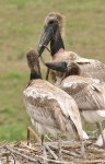 IMG_0558.JPG