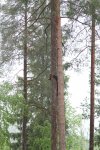 FINLAND 2014 353.JPG