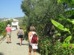 IMG_0906.JPG