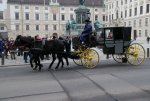 IMG_5038.JPG