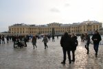 IMG_5334.JPG