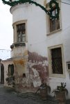 IMG_5444.JPG