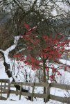 IMG_5642.JPG