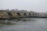 IMG_5915.JPG
