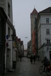 IMG_5951.JPG