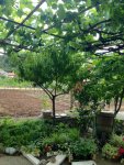 maratea bnb.jpg maratea bnb.jpg