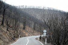 Bushfire-CRC_fires-near-Kinglake_IMG_5846.jpg