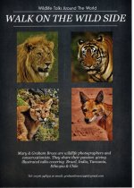 wildlife flyer reduced pixels (2) - Copy.jpg