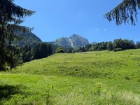 IMG_8933.jpeg