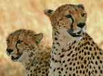 Mother & Daughter_87.jpeg - Copy.jpg Mother & Daughter_87.jpeg - Copy.jpg
