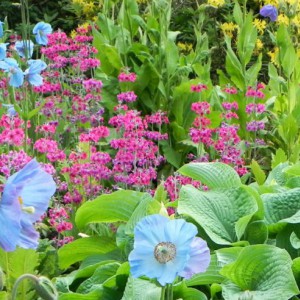 UK Castles and Gardens