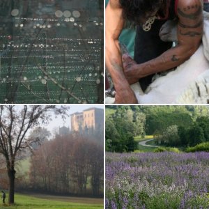Monferrato: Wine and Hill country of Piemonte