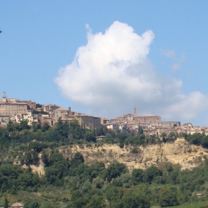 View from winery