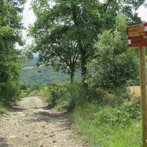 Bagno Vignoni