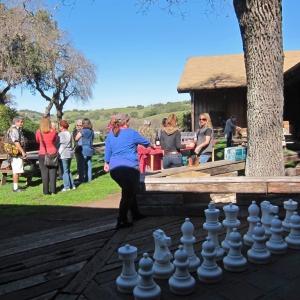 Zaca Mesa Winery