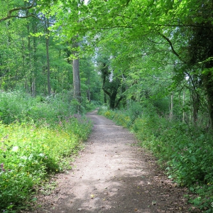 Cotswold Way