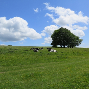 Cotswold Way