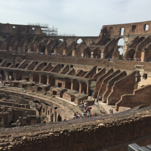 The Coliseum