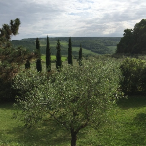View from the terrace at Sant'Antonio
