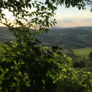 More scenery