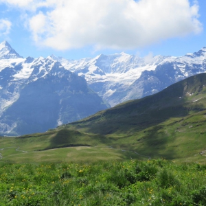 Grindelwald