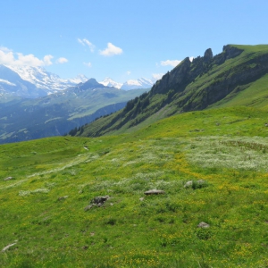 Grindelwald