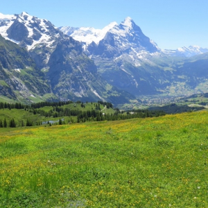 Grindelwald