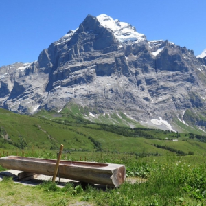 Grindelwald