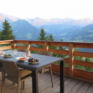 Lenk