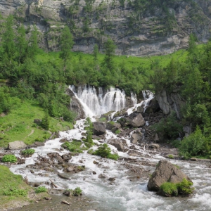 Lenk