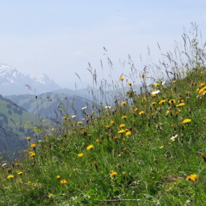 Gstaad