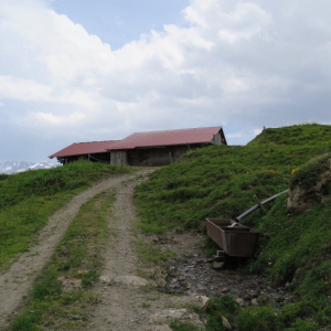 Lenk