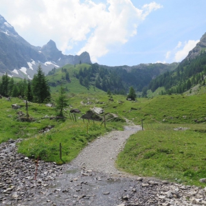 Lenk