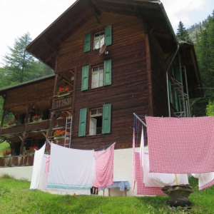 Lenk