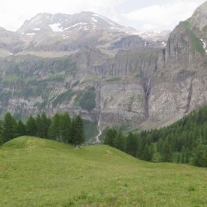 Lenk