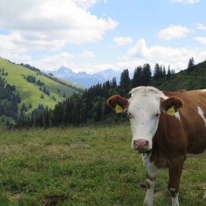 Gstaad/Saanen
