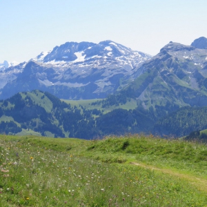 Lenk