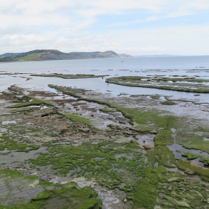 Dorset, Lyme Regis