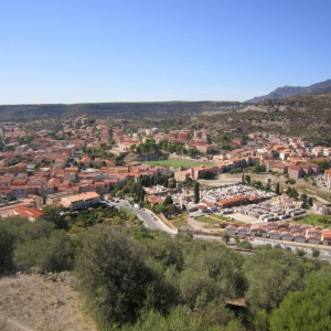 Bosa