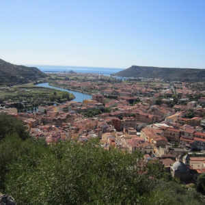 Bosa