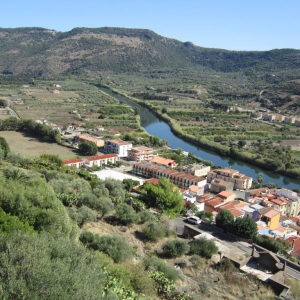 Bosa
