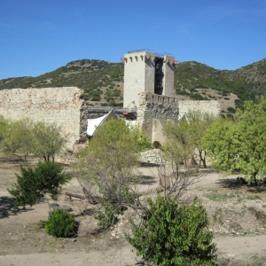 Bosa