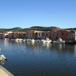 Bosa