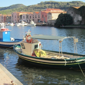 Bosa