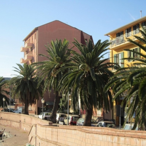 Bosa