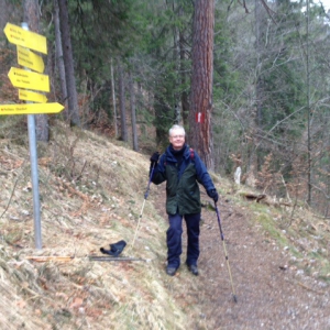 Hiking Trails, Pertisau