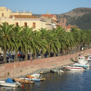 Bosa